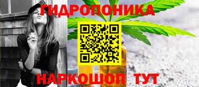 стафф Аргун